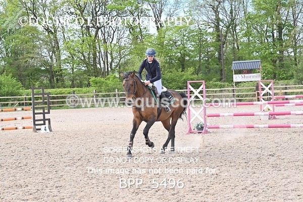 BPP_5496 - CLASS 4  BritishNovice/ 90cm Open