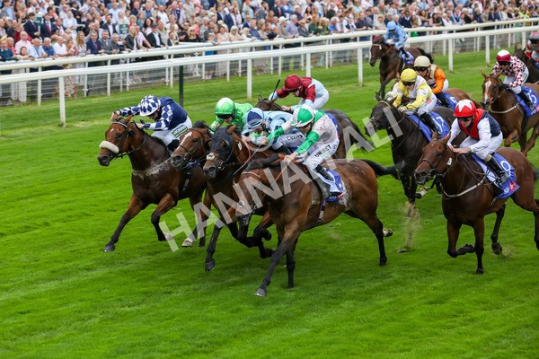 230823-Race 1-Equilateral-4048 - Race 1 1.50pm Sky Bet And Symphony Group Handicap