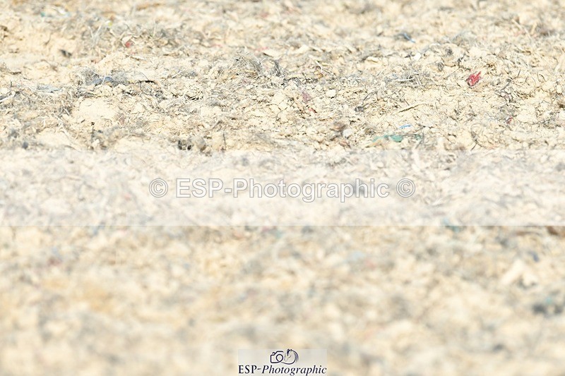 230623-172035-03012 - Cls 9 Advanced Medium 91Q