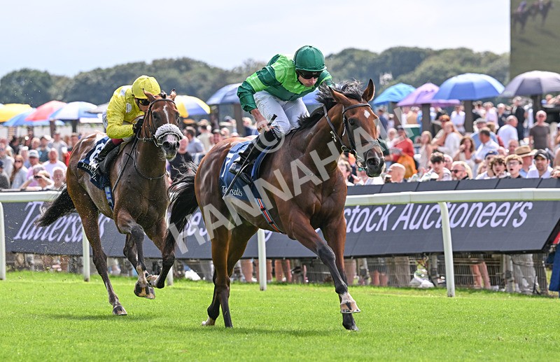 190826-038 Haffner - Race 2 14.25pm Tattersalls Acomb Stakes