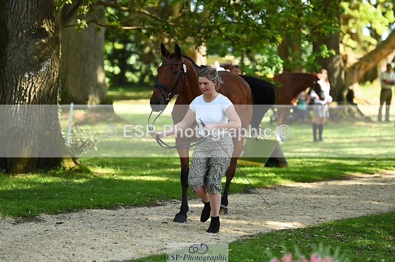 230524-160610-00677 - 253-MY_EASTWOOD_BRIGHTSIDE-Darcy_Zander-WEDTrotUp+DR