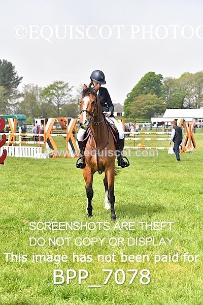 BPP_7078 - CLASS 3 RHS Fox Champ Qual (1.20m)