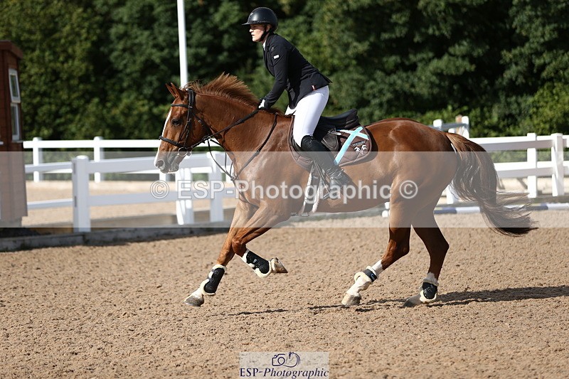 230811A-091720-02829 - Cls 13 A&B Snr Brit Nov & 90cm Open