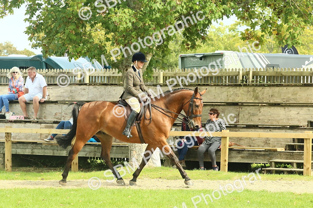 SBM_66709 - S34 - Rehabilitated Rescue Horse & Pony In Hand & Ridden