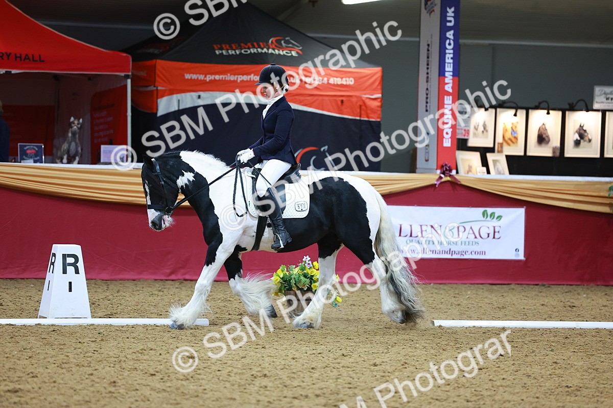 SBM_06485 - Class 61 - Dressage to Music