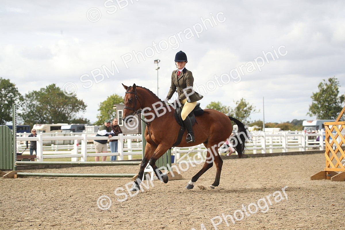 SBM_15210 - Class 506a - Working Veteran - 50cm (15-19)