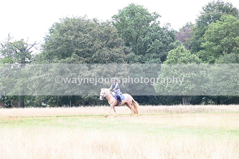 DSC_9488 - Time at Statue 15:11 to 15:58