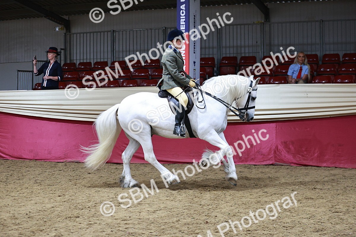 SBM_08397 - Class 11R - Regional Ridden Veteran
