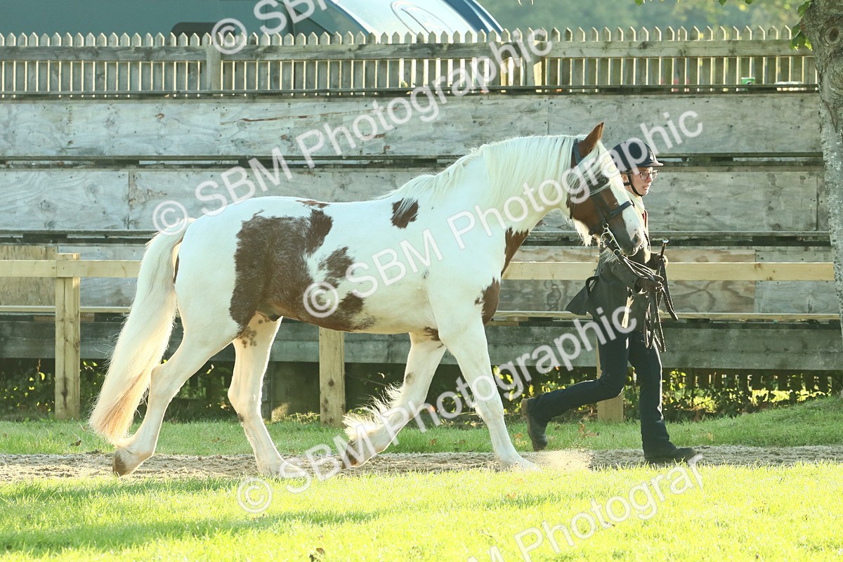 SBM_57412 - S37 - Starters In Hand Showing