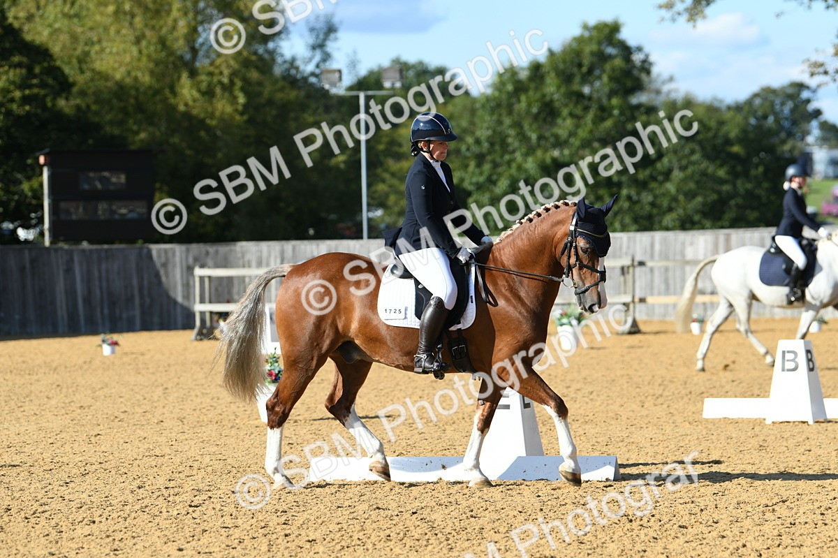 SBM_27312 - D16 - Small Tour Championship - Novice 28