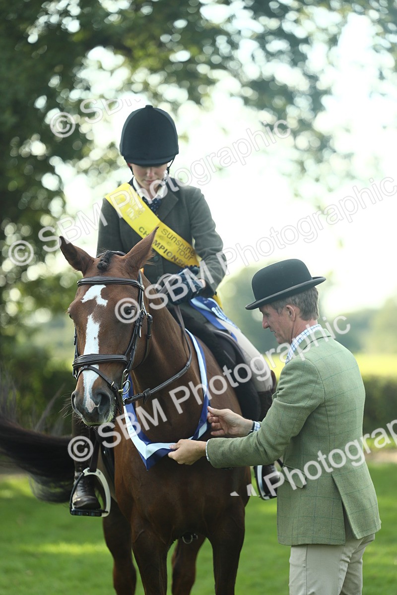 SBM_52292 - Working Hunter Supreme Championship