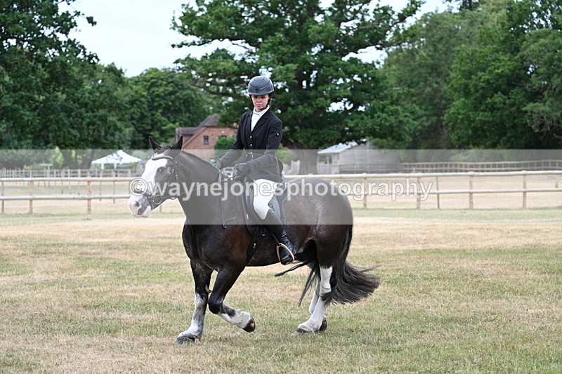 WJ7_1099 - Class 3 Family Mount