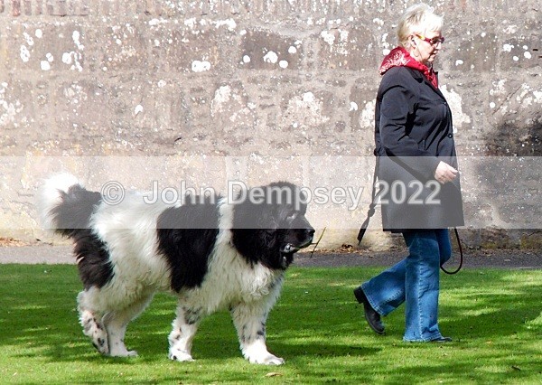 Max Going Home 2 - Walking the Dog