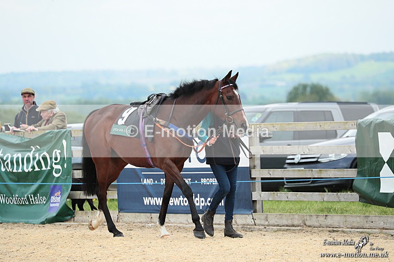 PtP 040526 721 - Mollington Point-to-Point 04/05/26