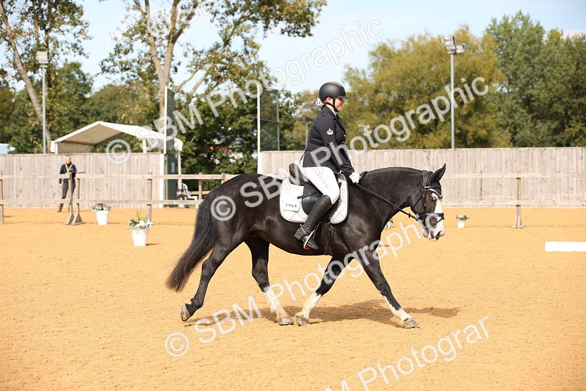 SBM_24089 - D5 - Small Tour Championship - Intro C