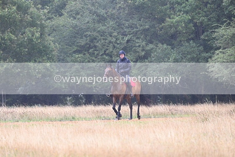 DSC_1160 - Time at Statue 11:54 to 12:12