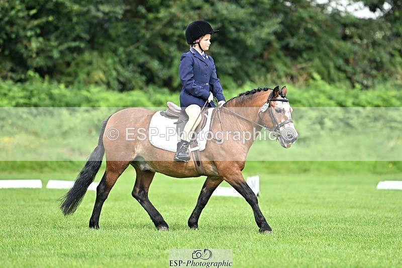 230826-103456-16578 - Sections A & B 10 to End