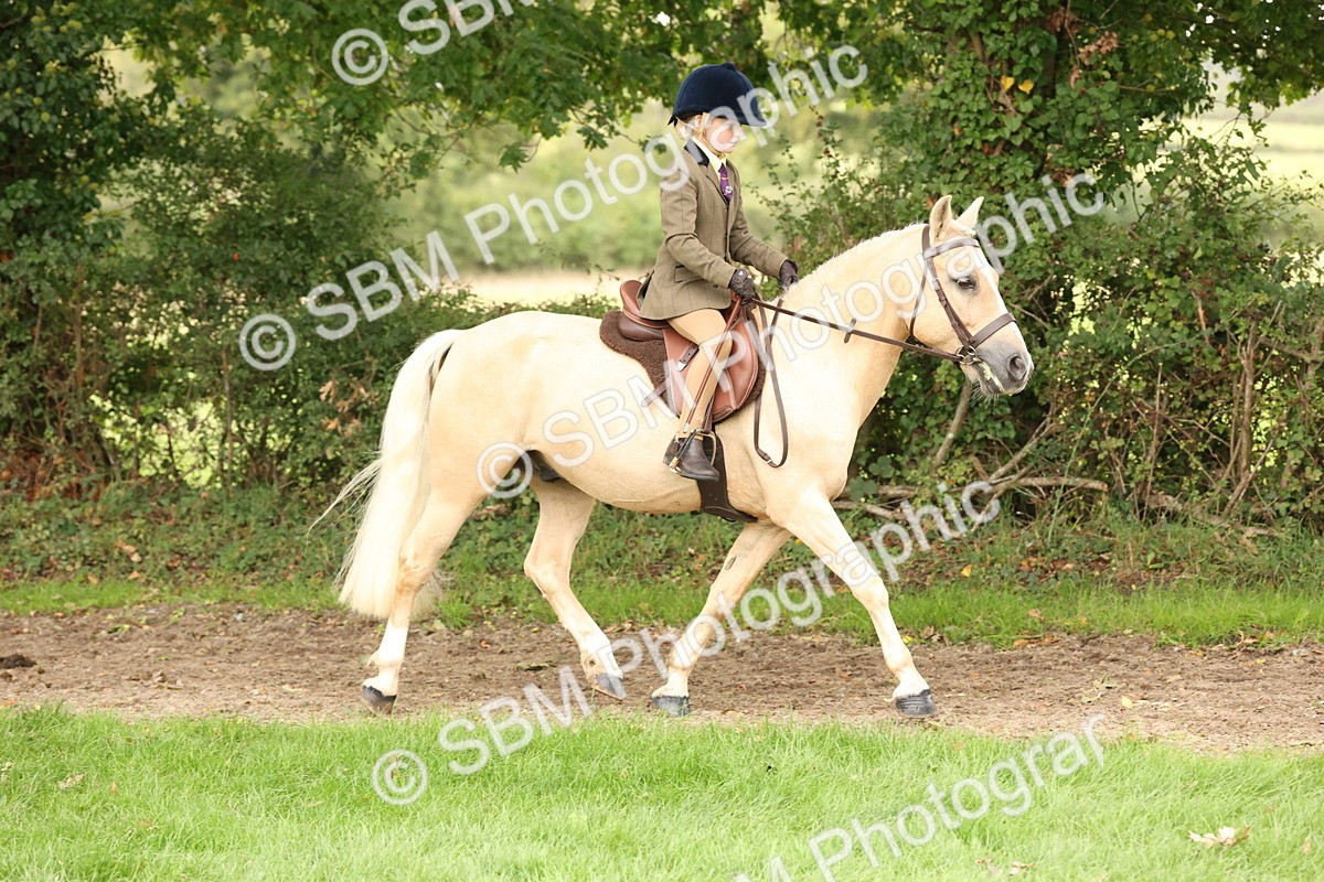 SBM_62995 - S64 - Foreign Breeds Ridden