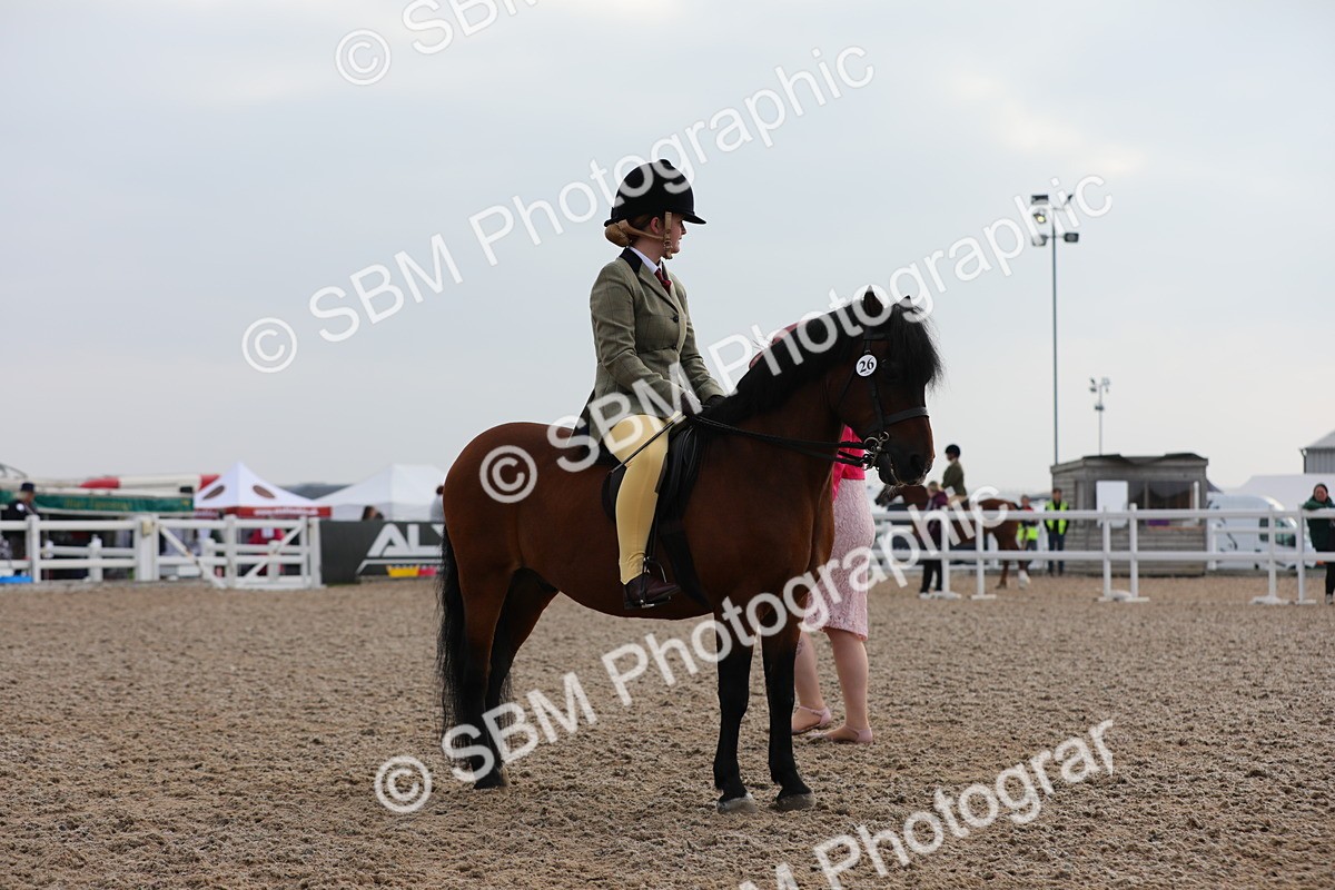 SBM_09636 - Class 301 Ridden M&M -Small Breeds