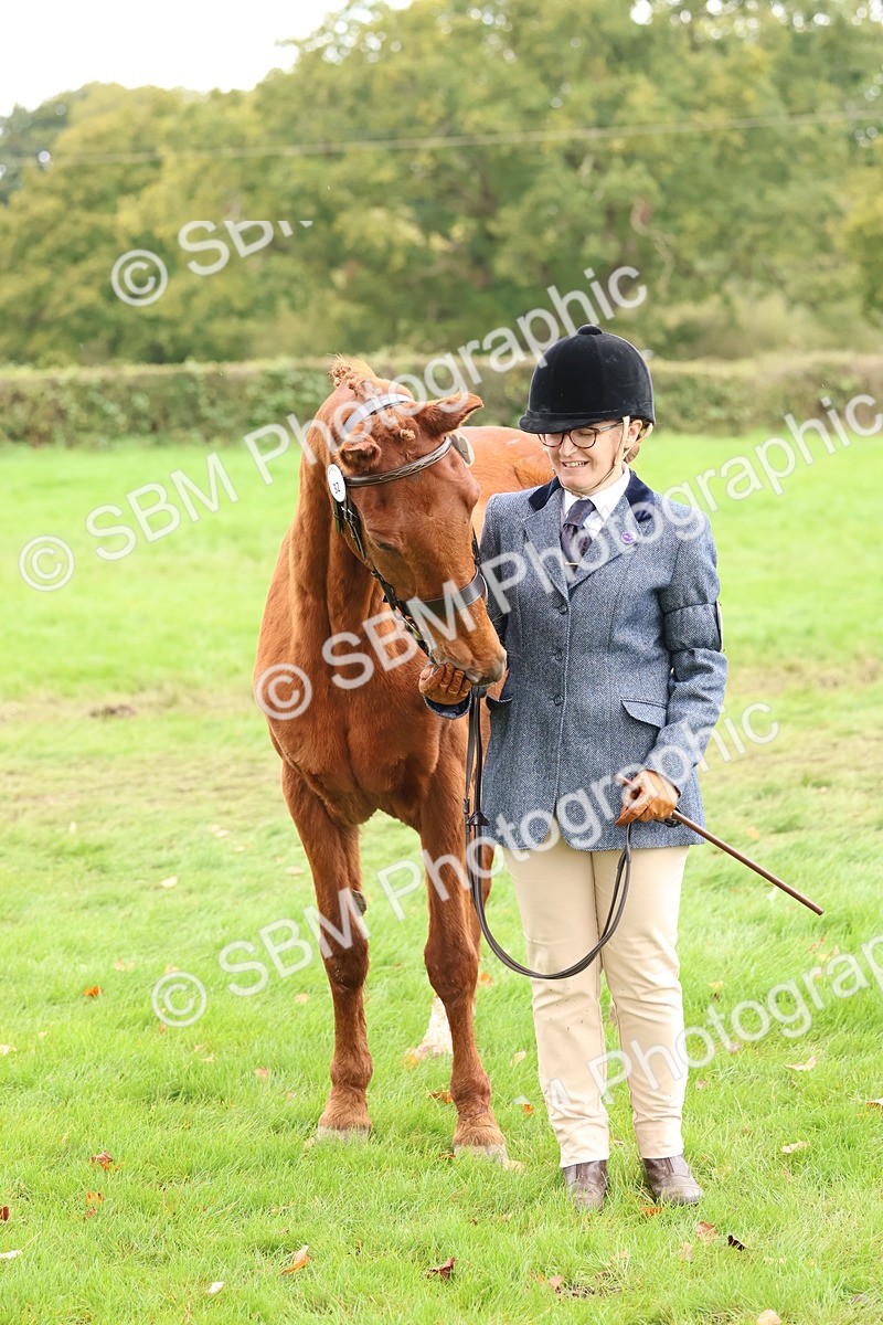 SBM_41721 - S26 - Mature Veteran In Hand