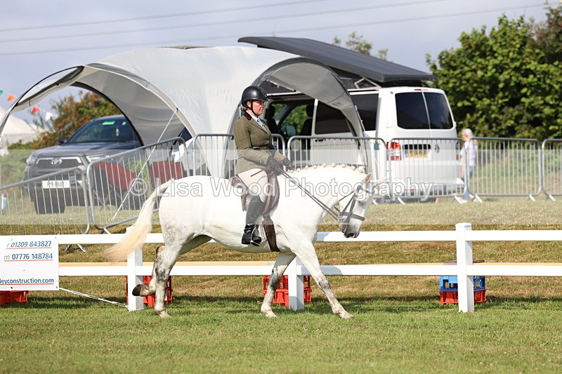 3E7A8779 - Class 3: Rising Star S/L Hunter