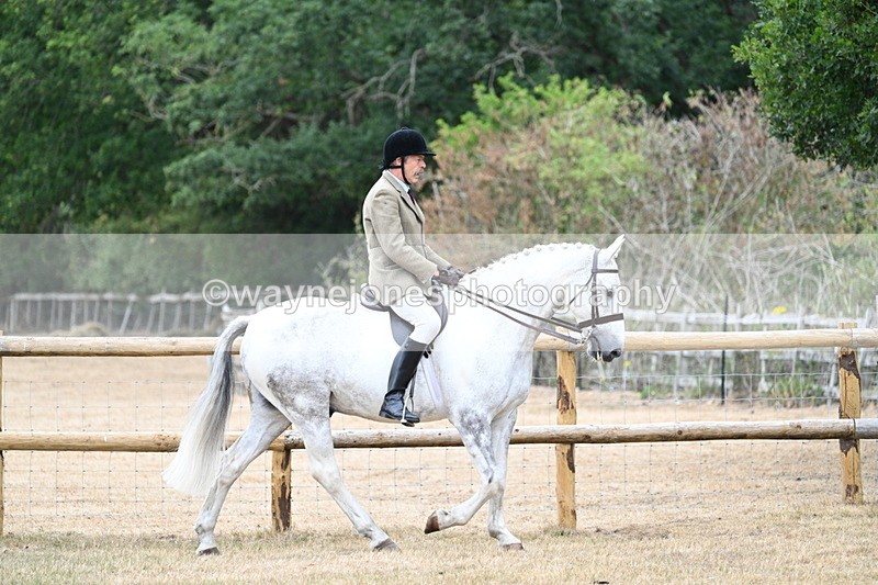 WJ7_0732 - Class 7 Riding Club Show Horse