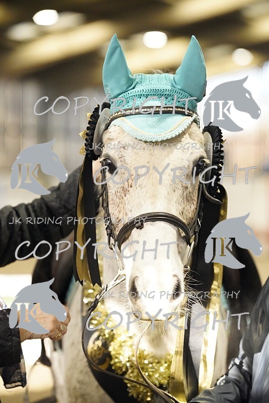 _DSC3243 - Class 4 50cm