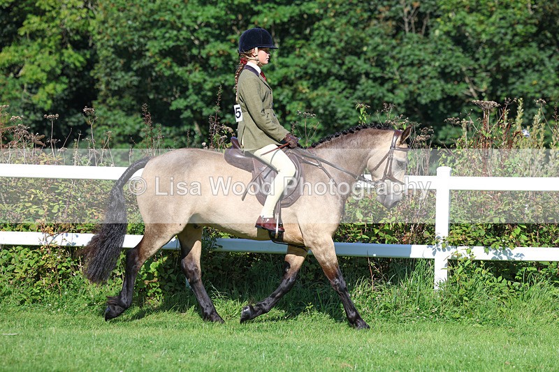3E7A7815 - Class 2: Open Working Hunter pony