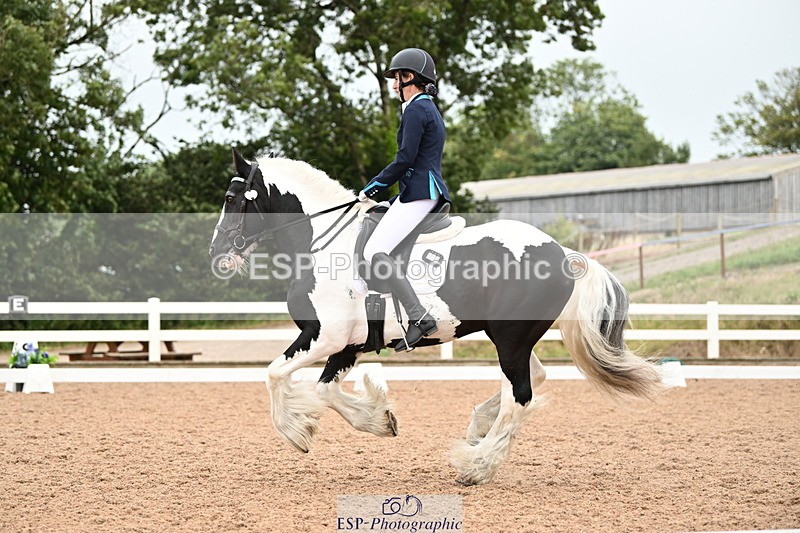 240815A-143056-02062 - 276-Alys.Matravers-Tiger.Tim