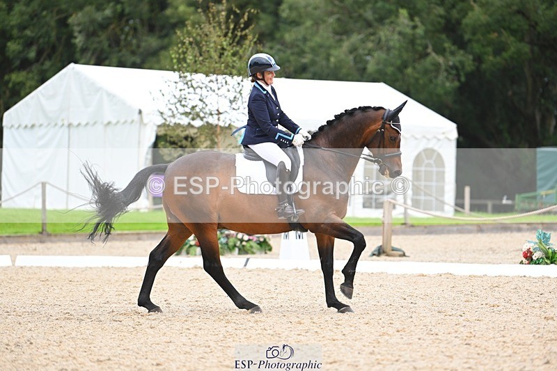 230813-171029-08580 - Cls 14 Medium Silver 16.45 to End