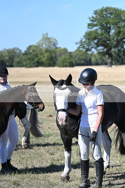 WJ7_1910 - Class 43 Best Six Legs (In hand)