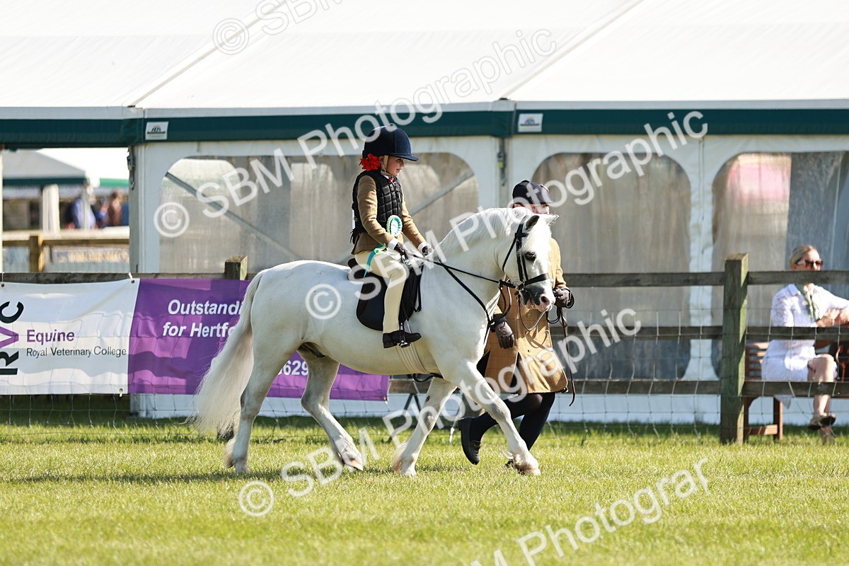 SBM_11362 - Class 106-107 - BSPS LIHS Working Sports Pony