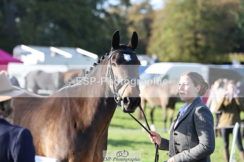 241027-093819-15407 - 441-Molly.Swain-SOCKS