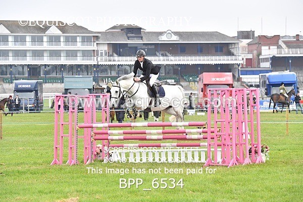 BPP_6534 - CLASS 1 Senior Newcomers/ 1.10m Open