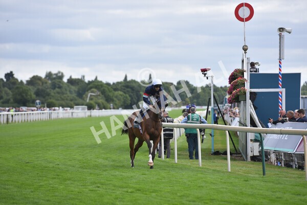 yr17082022r4-58 - Race 4 3.35pm Juddmonte International Stakes (British Champions Series Race)