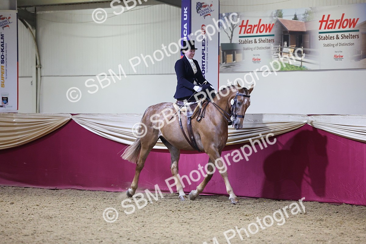 0B8A4225 - Class L Side Saddle Champ