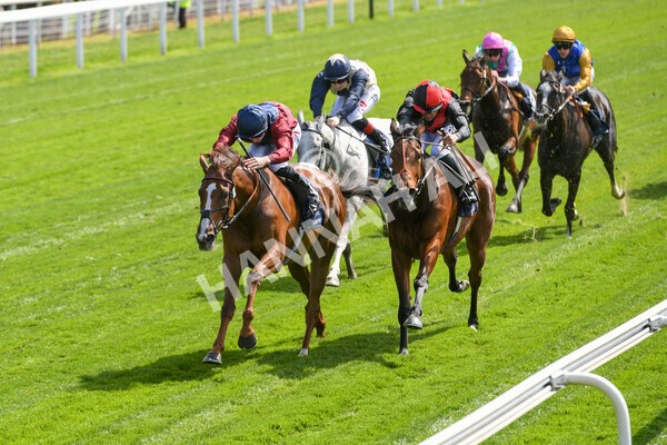 yr12052022r2-23 - Race 2 2.25pm Al Basti Equiworld Dubai Middleton Fillies' Stakes