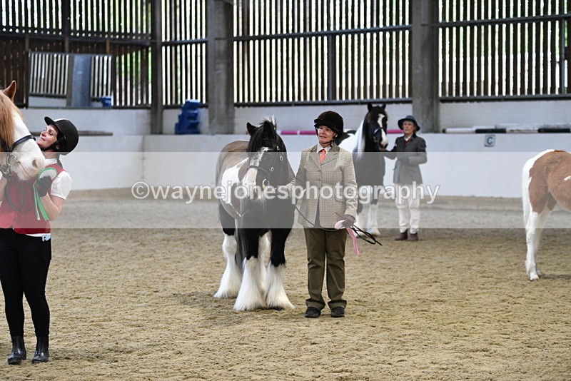 WJ5_5159 - Class 7 In hand coloured / odd coloured