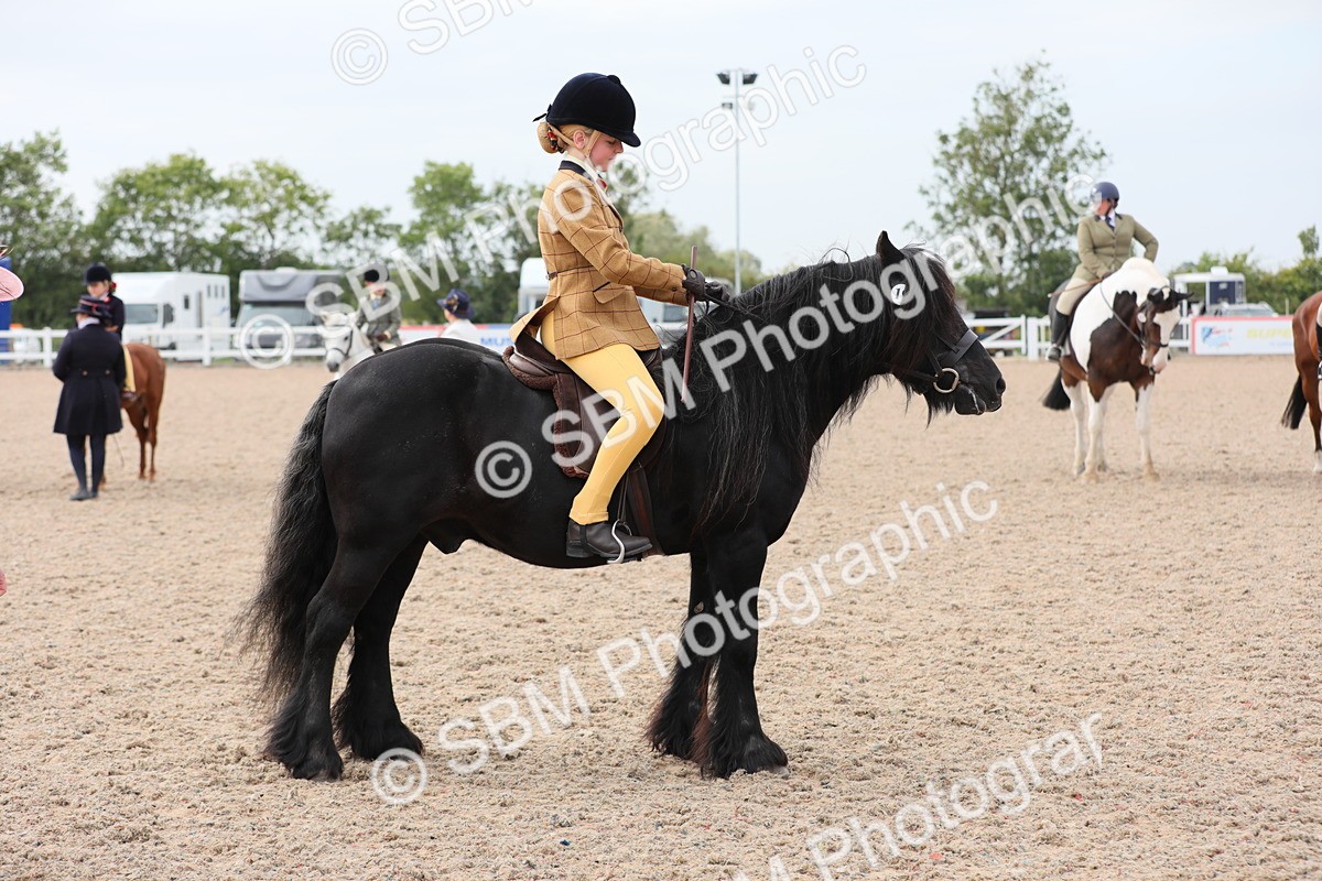 SBM_16935 - Class 314 Family Horse/Pony