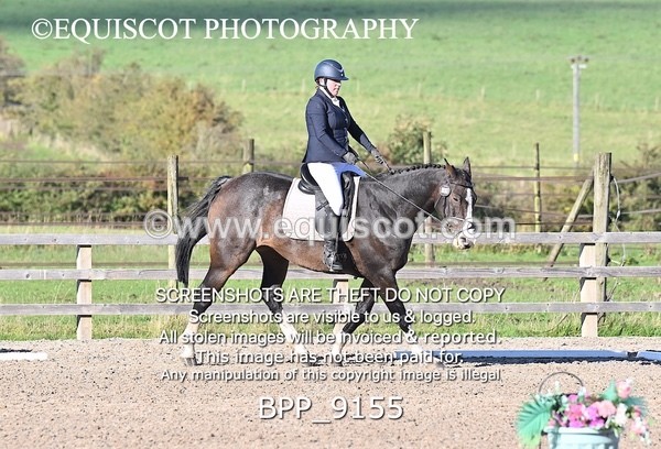 BPP_9155 - SHORT ARENA