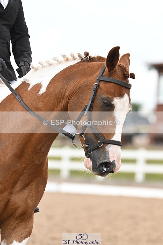 250705-175530-02894 - N3 Section BDNOV3 15.55 to 17.19