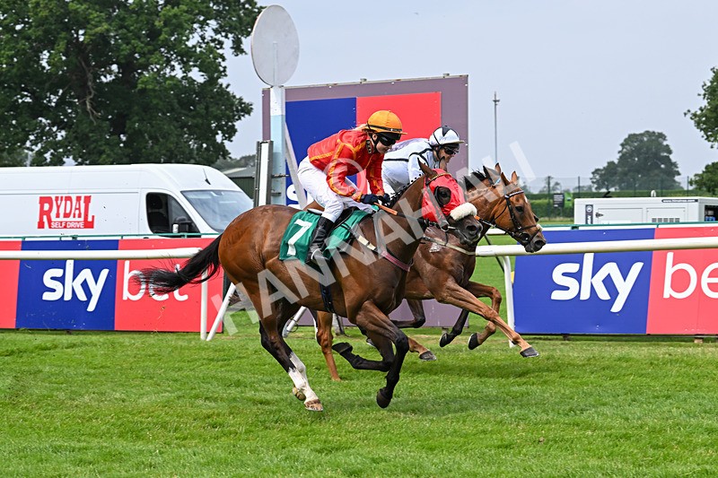 250725-Graham Lee IJF Stable Staff Stakes-E-3896 - The Graham Lee IJF Fund Stable Staff Stakes