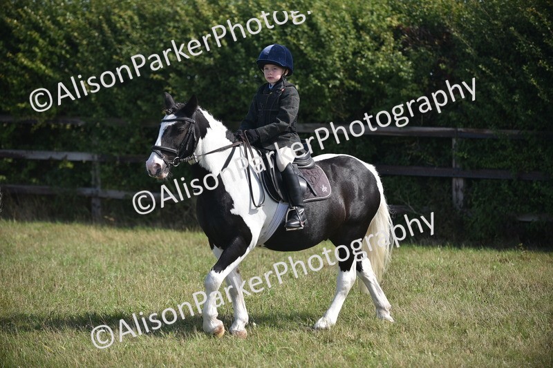 20260906-1788 - Class 11 - 13hh and Under