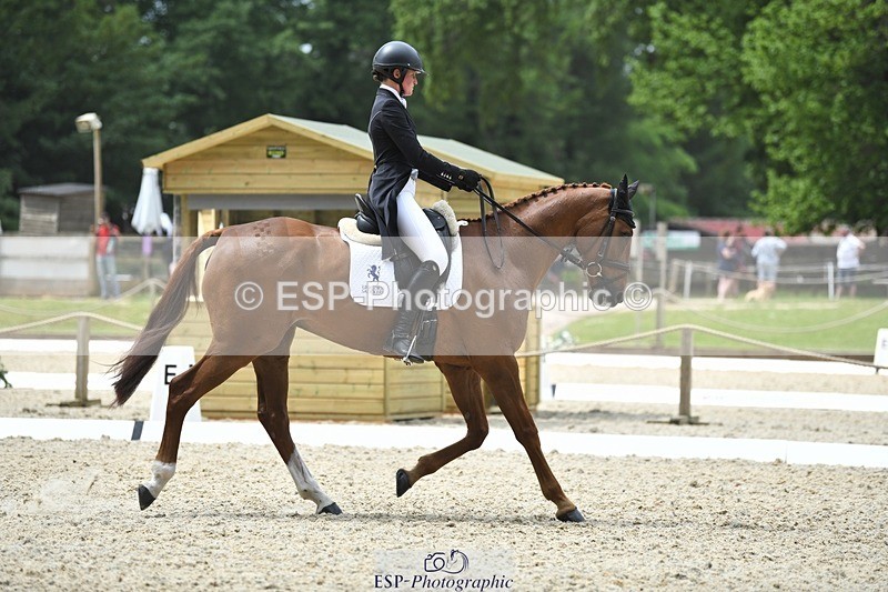 230525-130052-02078 - 113-I'M_A_WONDER-Rosie_Fry-WEDTrotUp+DR