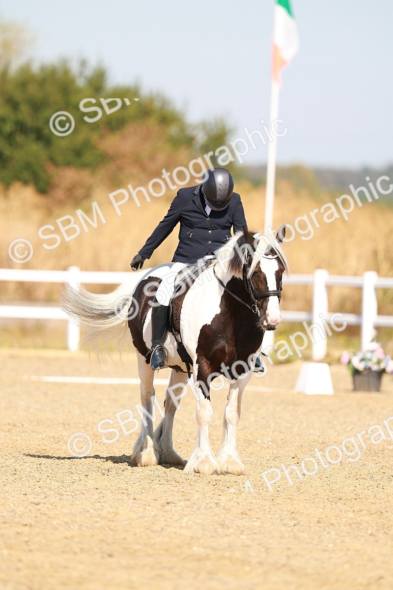 SBM_016780 - Class 9 - N5 Bronze 9.30.10.19