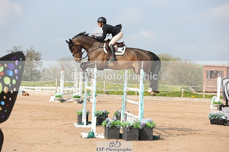 250424-102621-03012 - Cls 33 Young Horse 7yr old