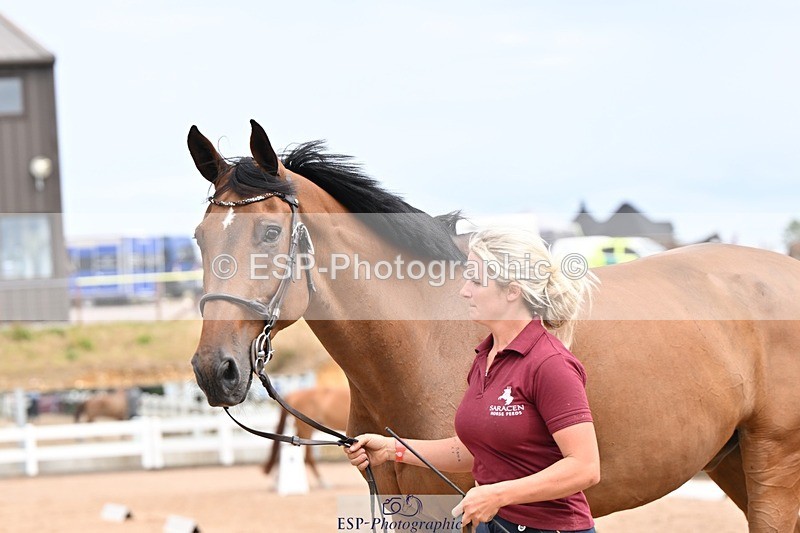 250716-153644-02044 - Trot Up 3.30 to 4.30