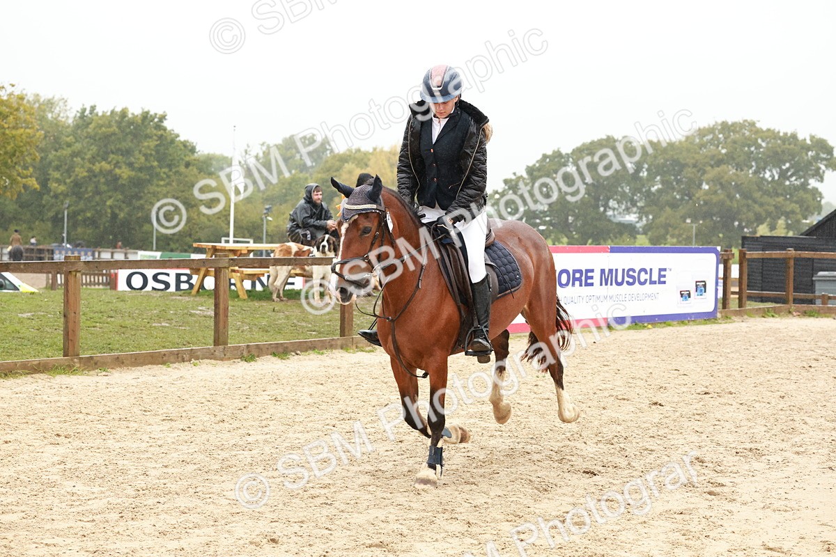 SBM_72381 - J14 - Junior Pony 65cm Championship