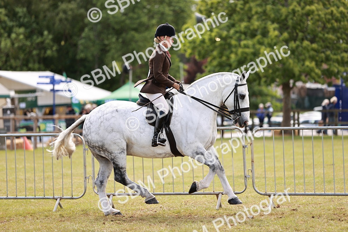 SBM_13097 - Class 85-87 - RIHS Cobs