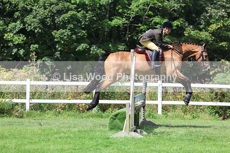 3E7A8888 - Class 6: Open Working Horse